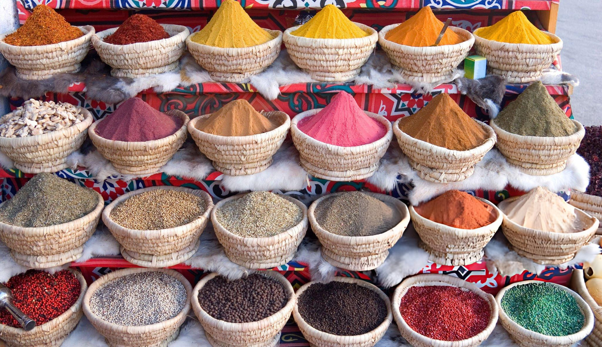 Fruit Powder Manufacturing Plant